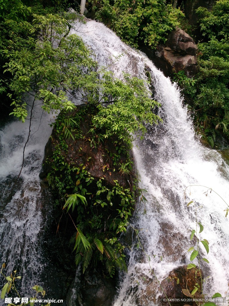高山瀑布丛林