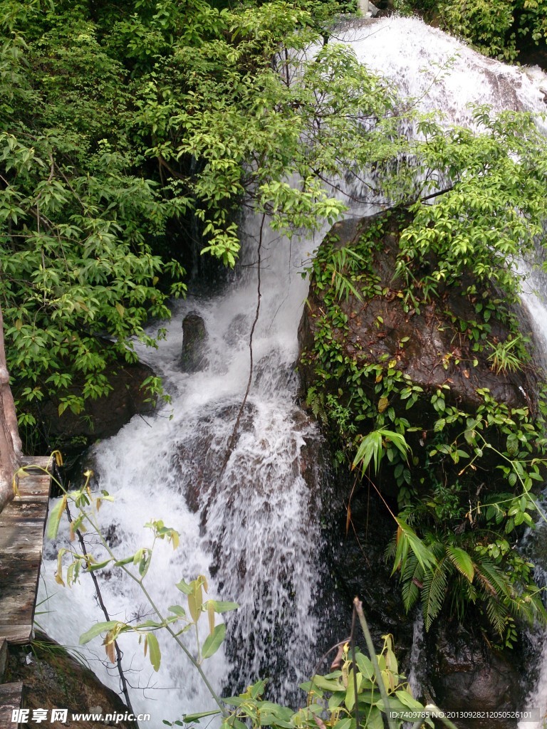 高山瀑布丛林