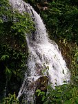 高山瀑布丛林
