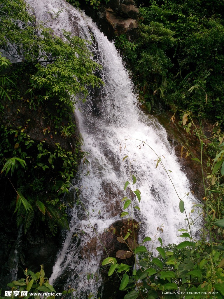 高山瀑布丛林