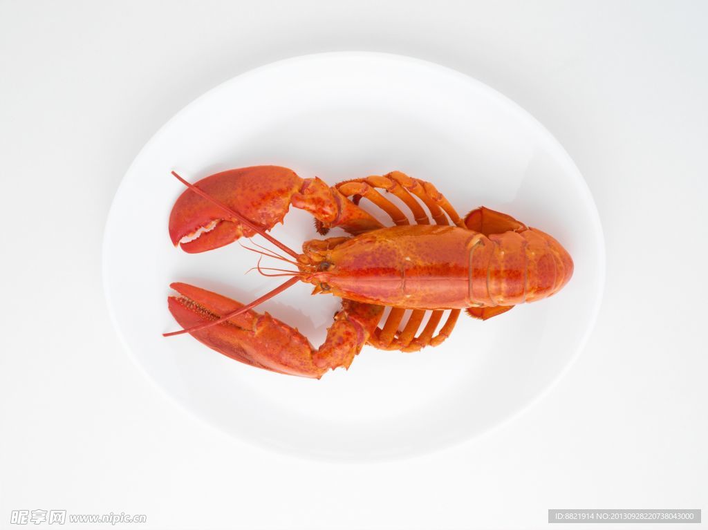 龙虾