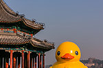 大黄鸭与廓如亭