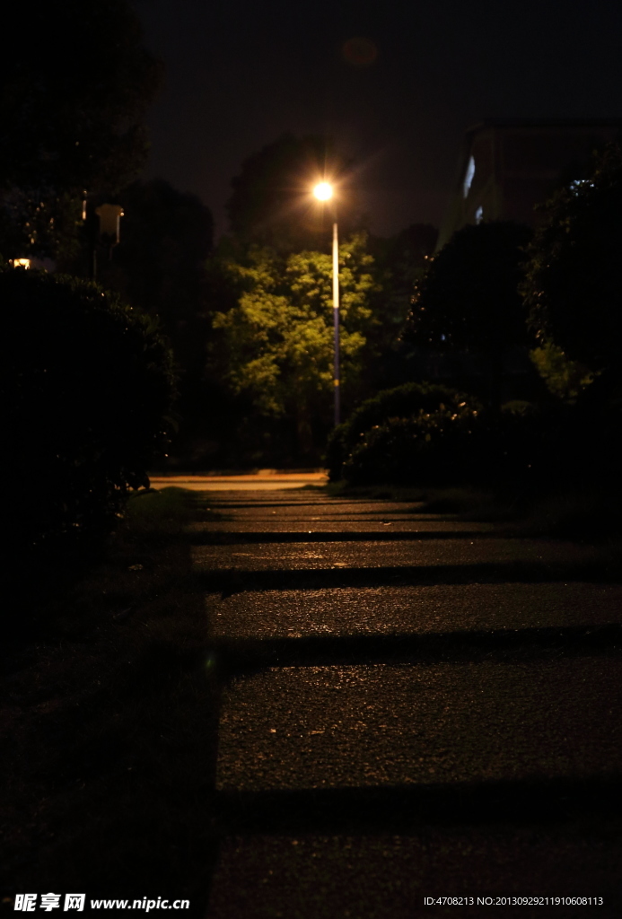 夜间小路