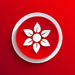 花瓣