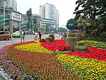 鲜花