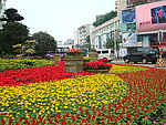 鲜花