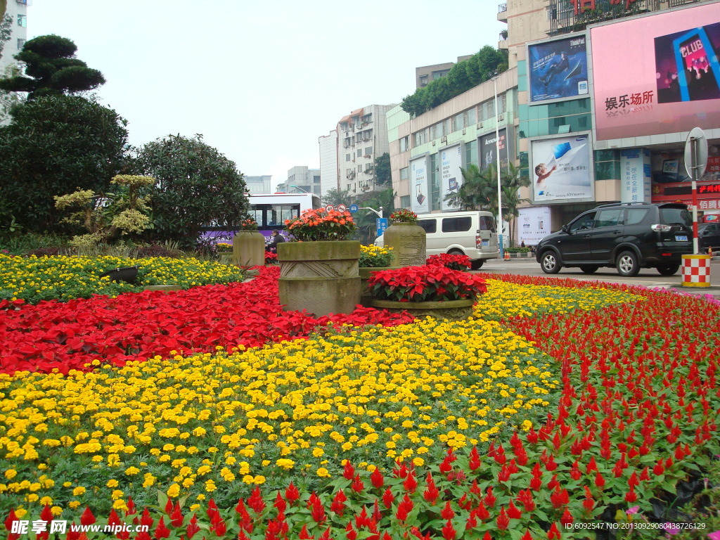 鲜花