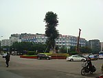 转盘