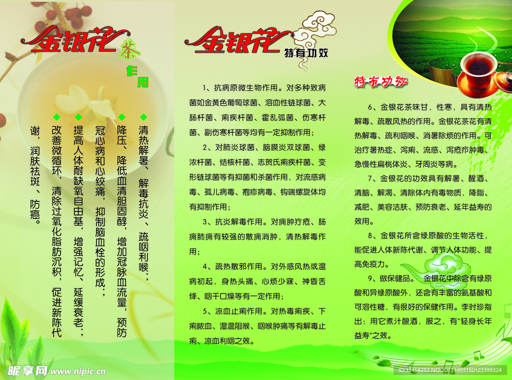 金银花彩页