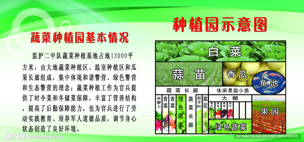 种植园示意图