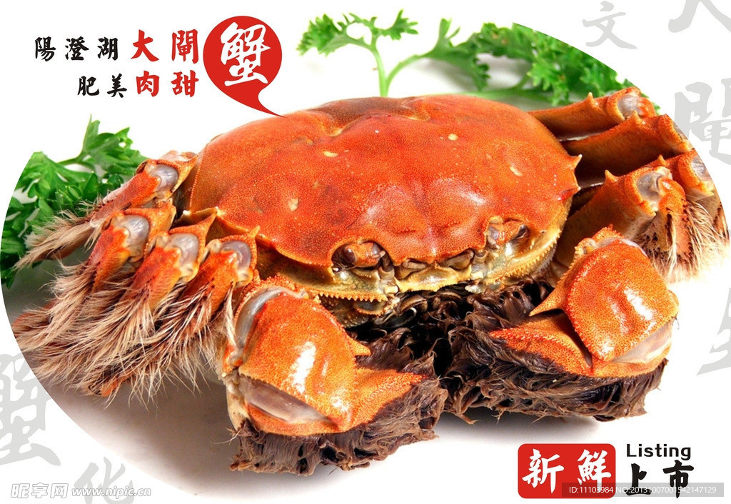 大闸蟹 海鲜 新鲜