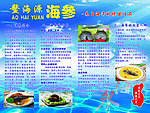 海参海报