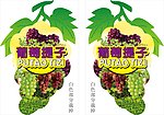 葡萄提子