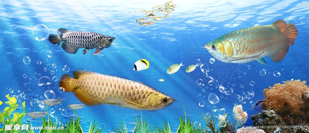 海底世界