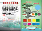 羽球 培训彩页 健康