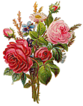 复古玫瑰花