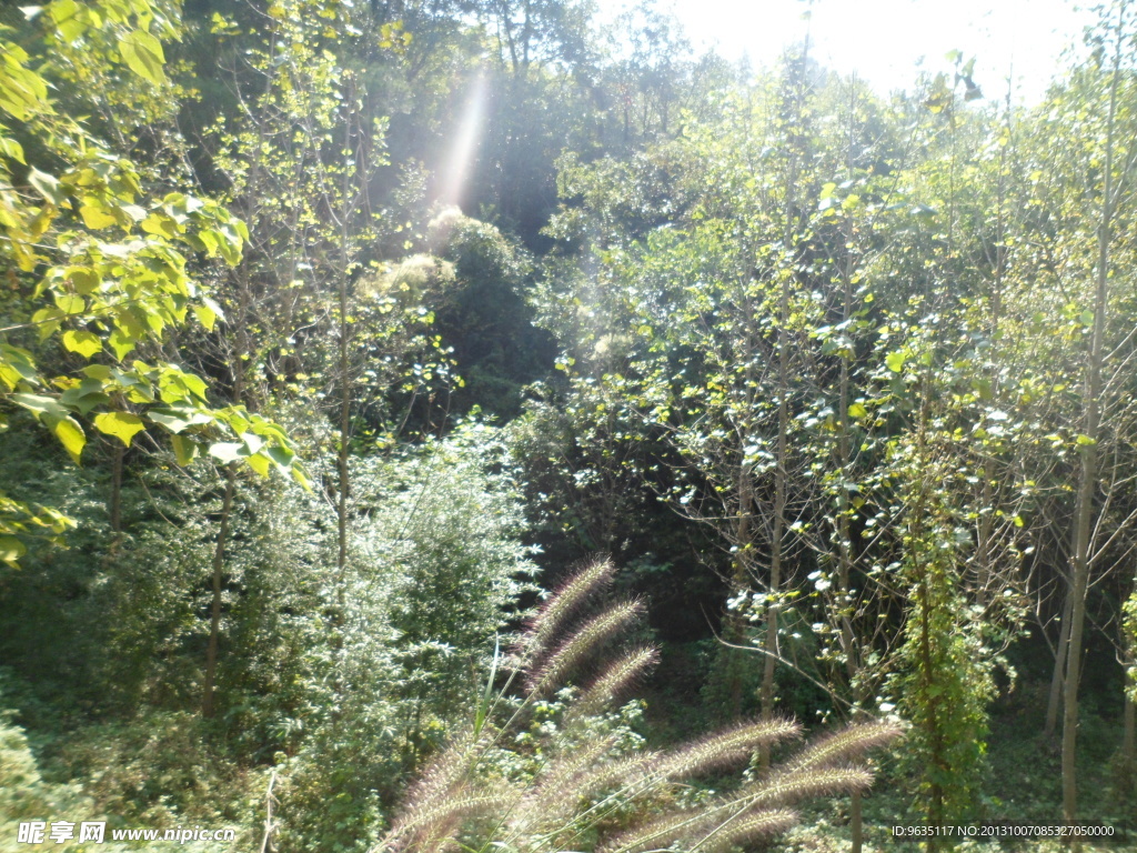 自然风景