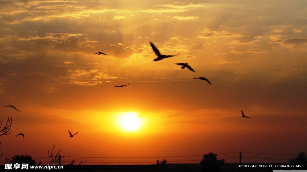 夕阳
