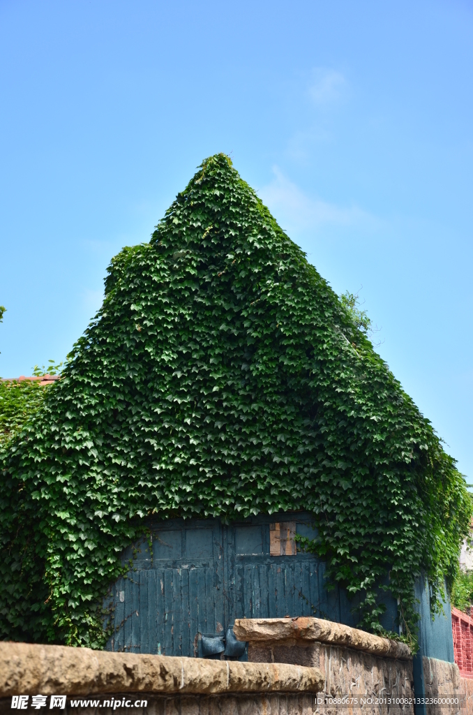 爬满爬山虎的梦幻小屋