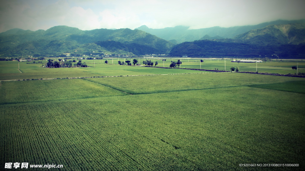 田野远山