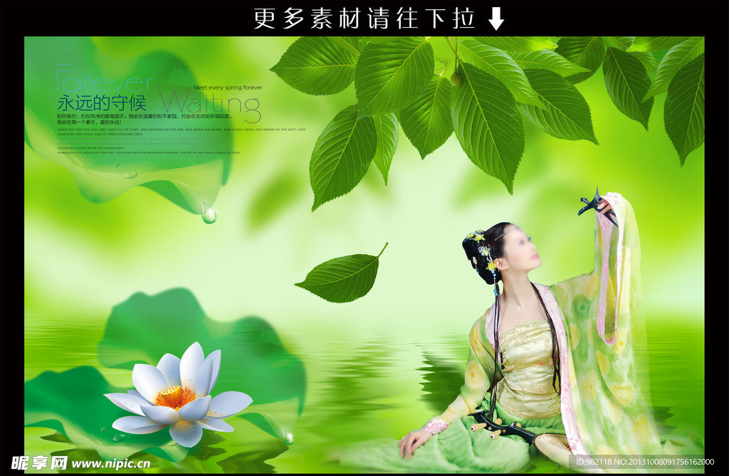 美女 绿叶 荷花