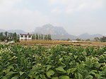 少室山秋景