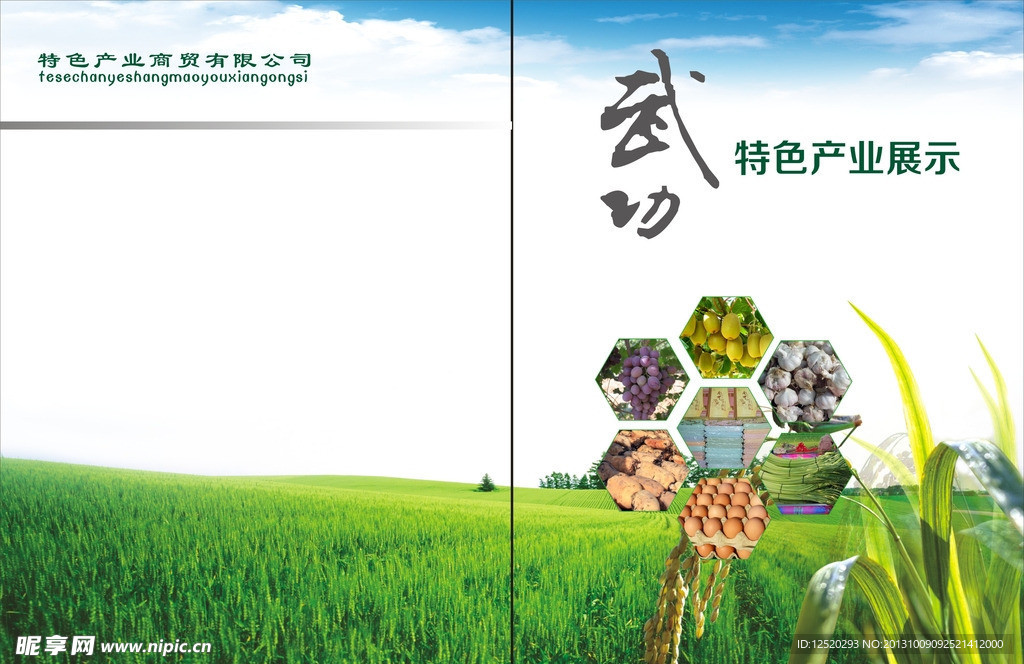 画册封面