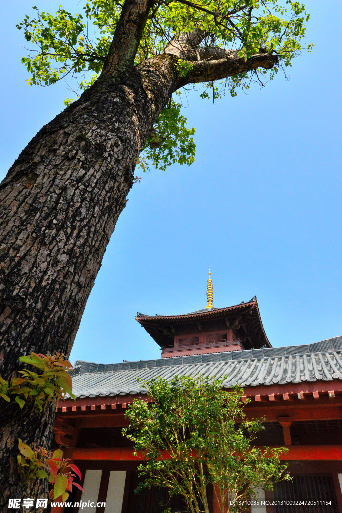 寺庙