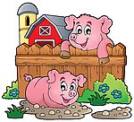 农场卡通猪