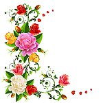 玫瑰花矢量