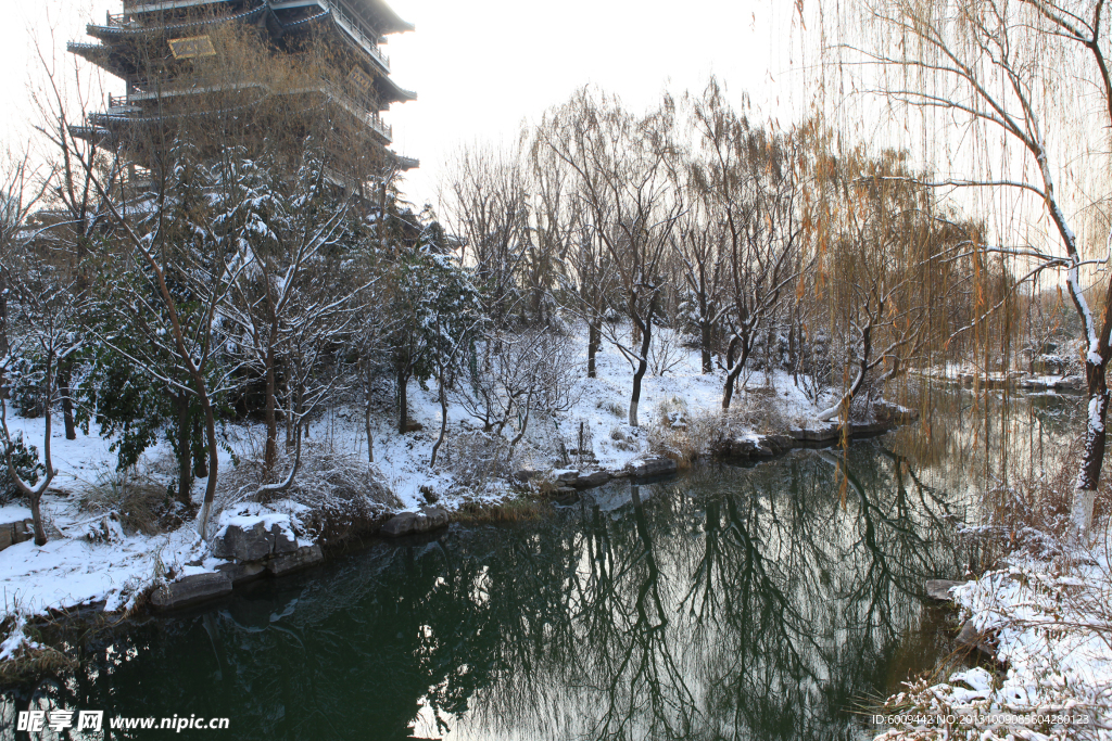 雪景