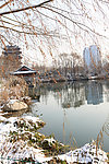 大明湖
