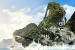 海龟