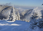 雪景
