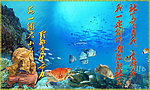 海鲜海报