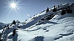 雪地