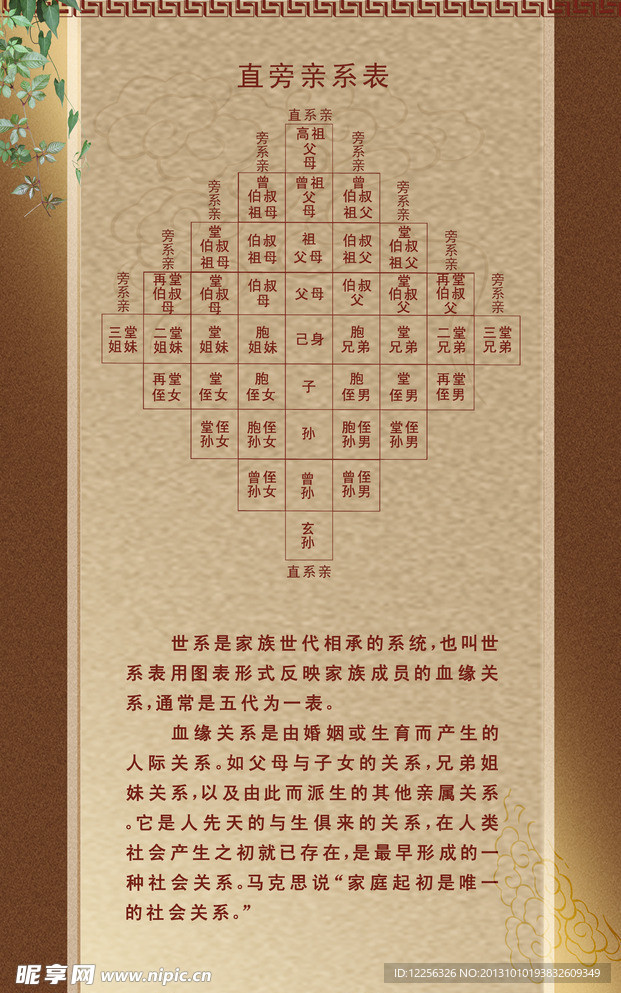 宗族 直系表