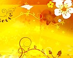 黄色背景花朵视频素材