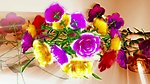 喜庆鲜花节日礼物视频