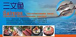 三文鱼海报