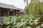 大明湖