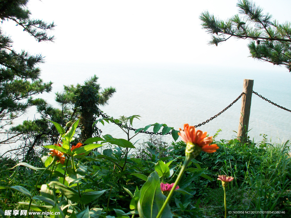 海边的风景