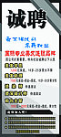 诚聘海报