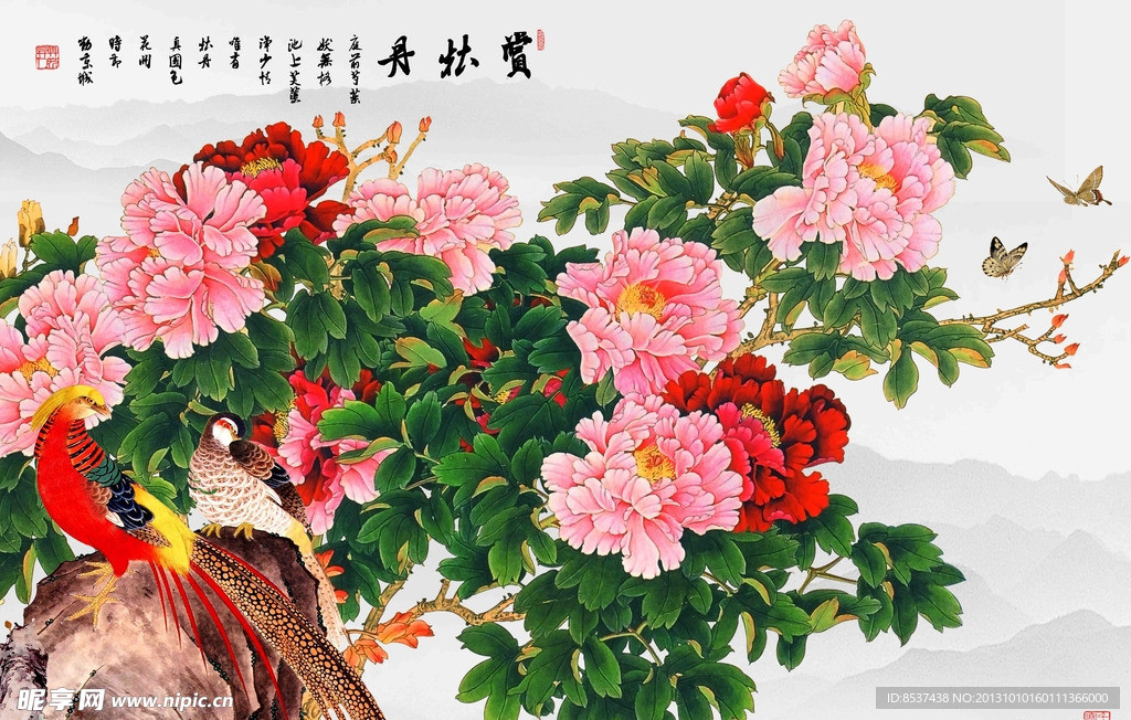 花开富贵 牡丹