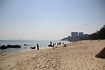 玫瑰海岸 海边