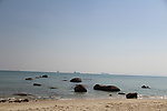 玫瑰海岸海边