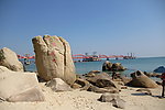 玫瑰海岸海边