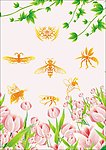 蜜蜂