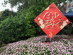 新年福字