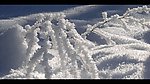 迷人风景